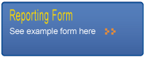Reporting Form, see example form here